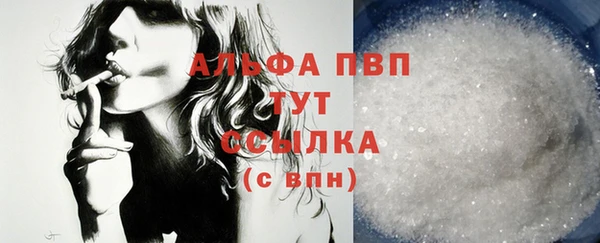 спиды Белокуриха