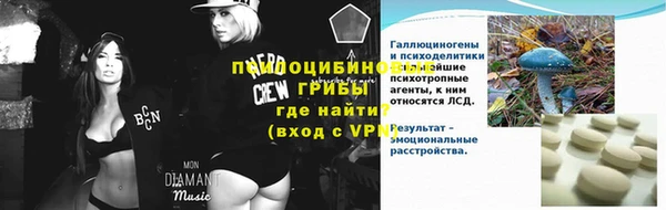спиды Белокуриха