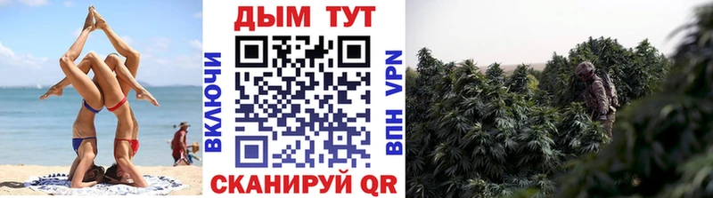 Шишки марихуана VHQ Лабытнанги